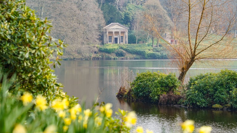 A view of the Temple of Flora at Stourhead in springtime with daffodils in the foreground